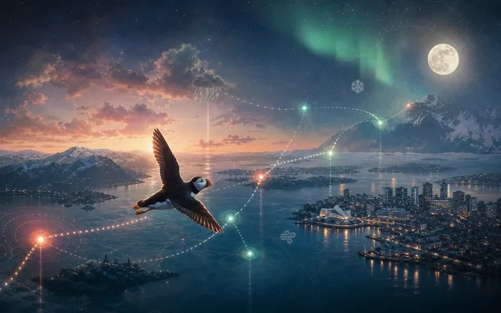 Lundefugl-Keyvisual: ein Papageitaucher fliegt durch arktisches Fjordlicht.